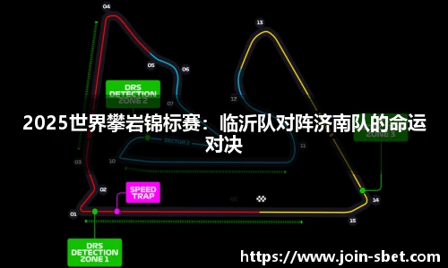 2025世界攀岩锦标赛：临沂队对阵济南队的命运对决